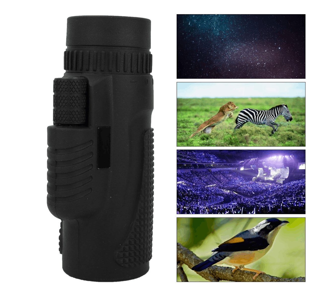 Monoculaire compact 8x42 pour randonnée et observation