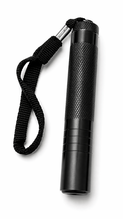 Bâton télescopique en acier Black Airsoft RAPTOR 40 cm avec étui